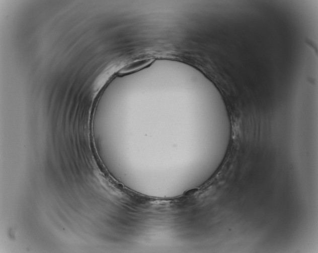 X0000103500052200809262023