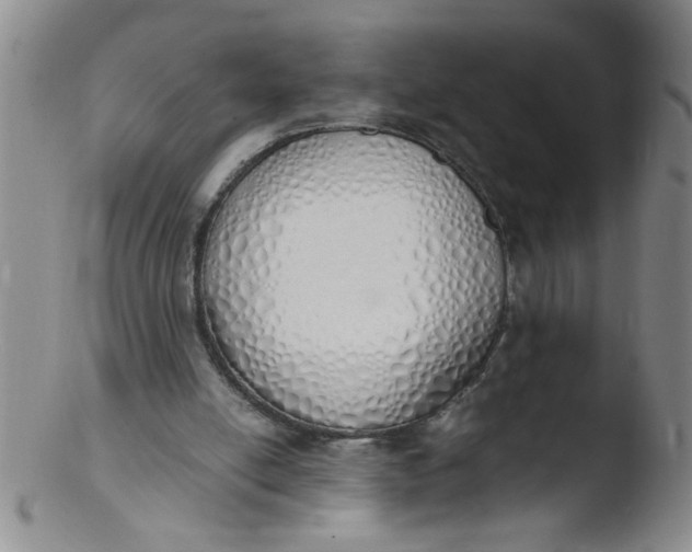 X0000103500054200809262023