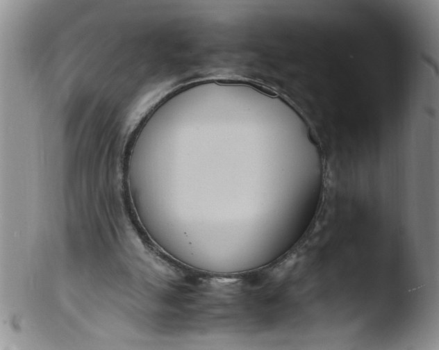 X0000103500055200809262023