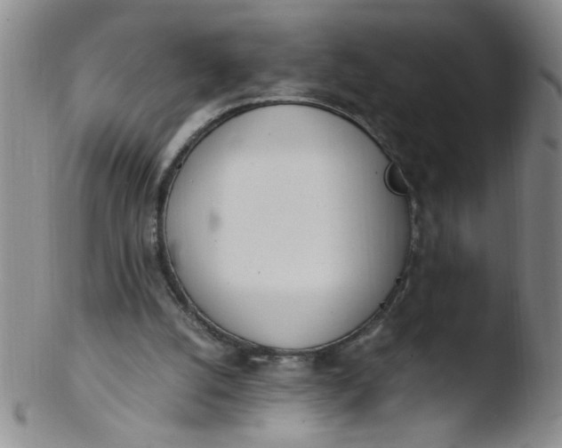 X0000103500056200809262023