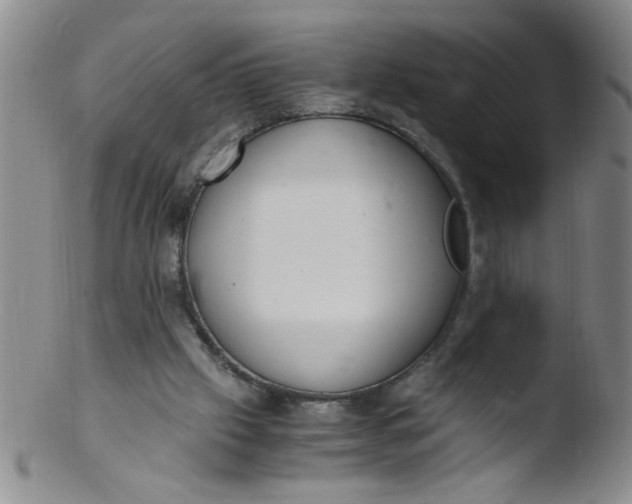 X0000103500057200809262023