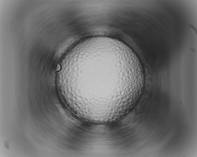 X0000103500058200809262023