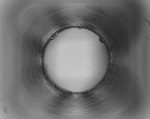 X0000103500060200809262023