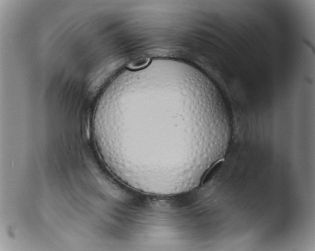 X0000103500062200809262023