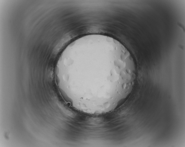 X0000103500063200809262023