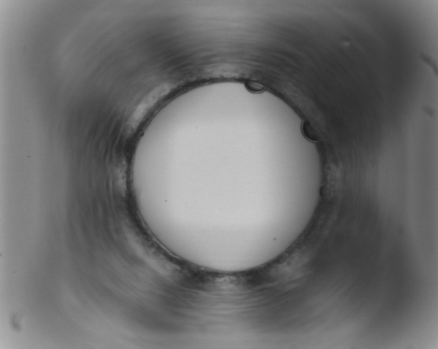 X0000103500064200809262023