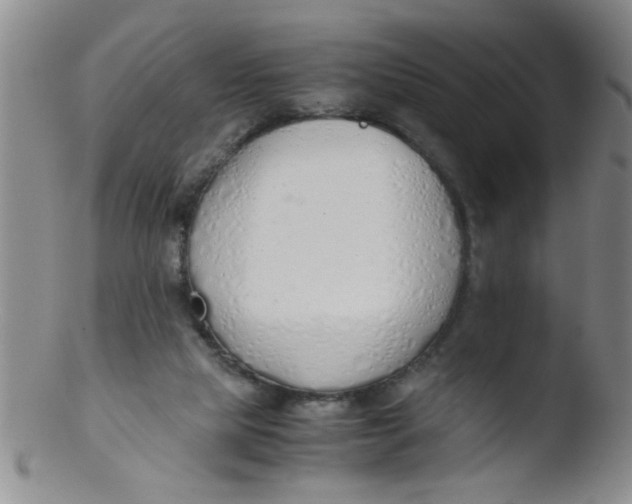 X0000103500065200809262023