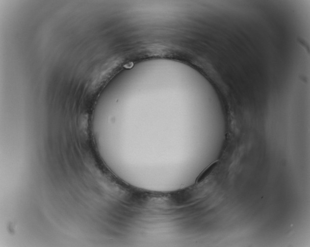 X0000103500066200809262023