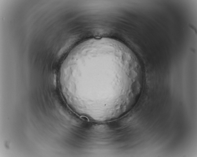 X0000103500067200809262023