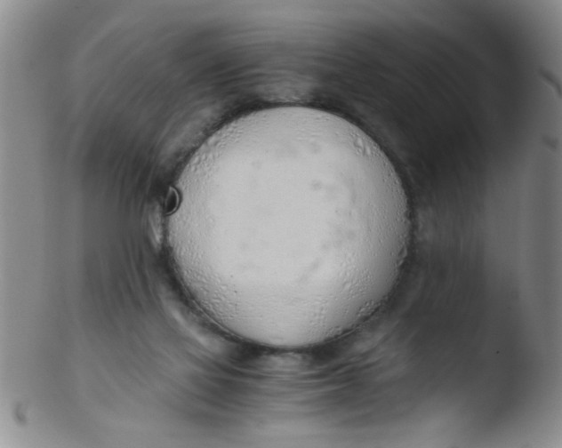 X0000103500069200809262023