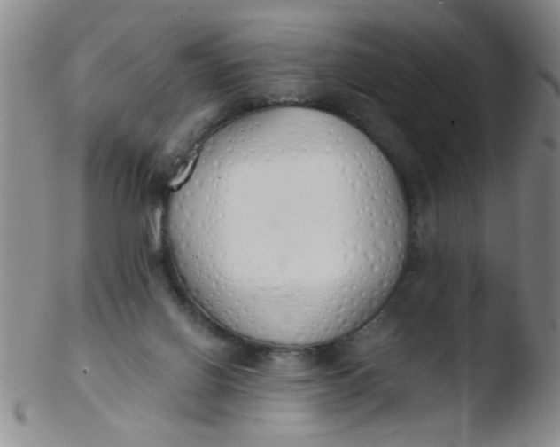 X0000103500070200809262023