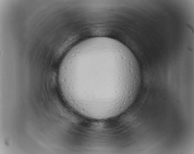 X0000103500071200809262023