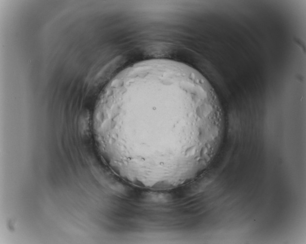 X0000103500073200809262023