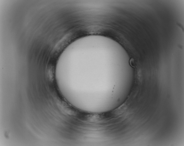 X0000103500074200809262023