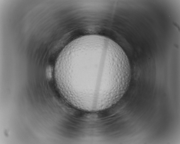 X0000103500075200809262023