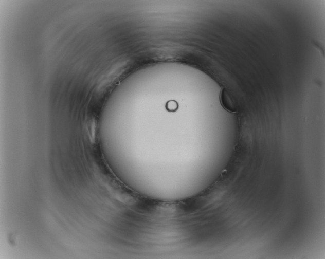 X0000103500076200809262023