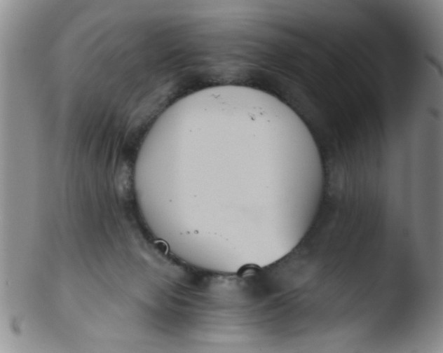 X0000103500077200809262023