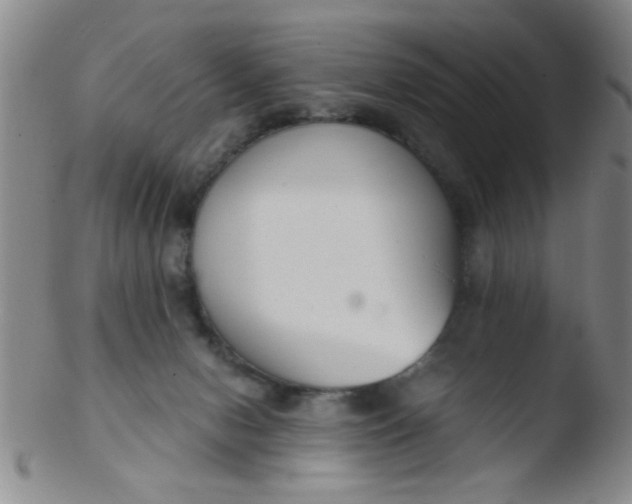 X0000103500078200809262023