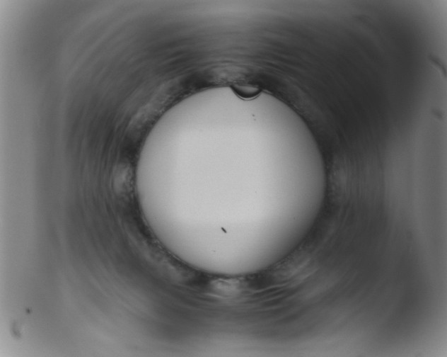 X0000103500079200809262023