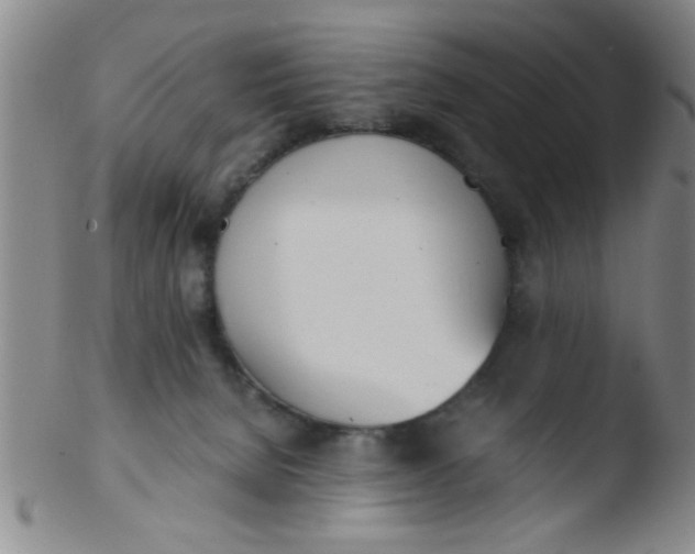 X0000103500080200809262023