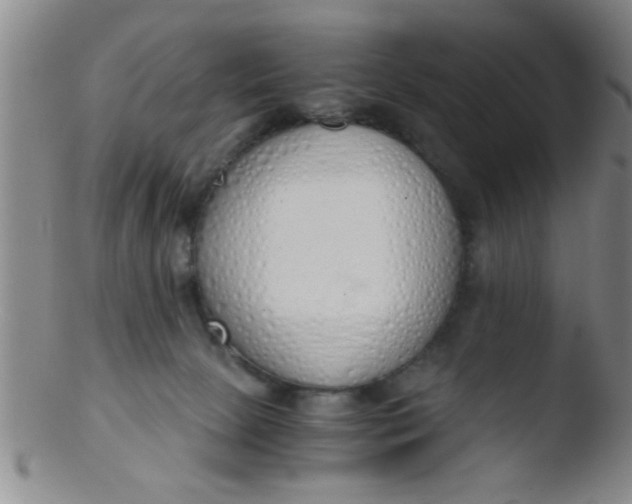 X0000103500081200809262023