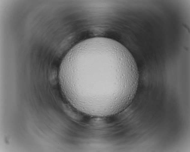 X0000103500082200809262023