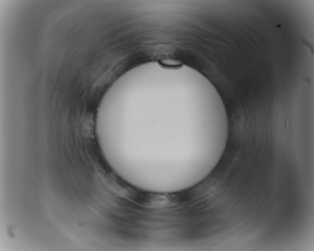 X0000103500083200809262023