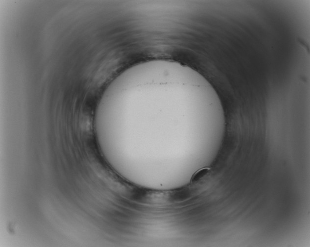 X0000103500084200809262023