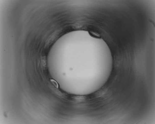 X0000103500085200809262024