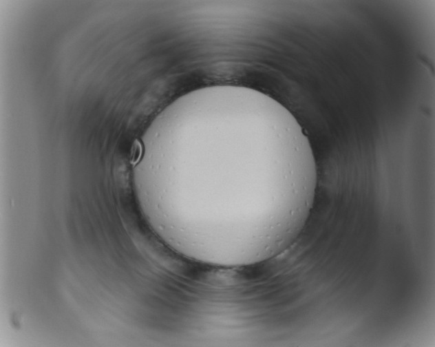 X0000103500086200809262024