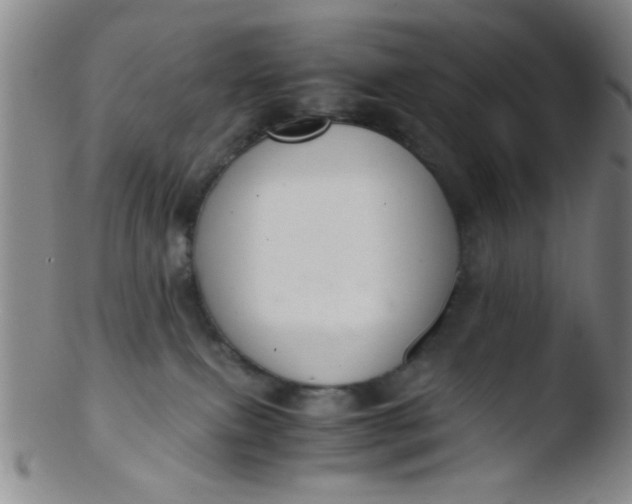 X0000103500087200809262024