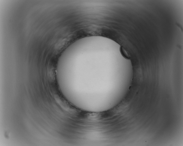 X0000103500088200809262024