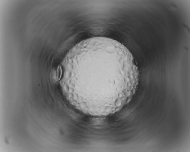 X0000103500089200809262024