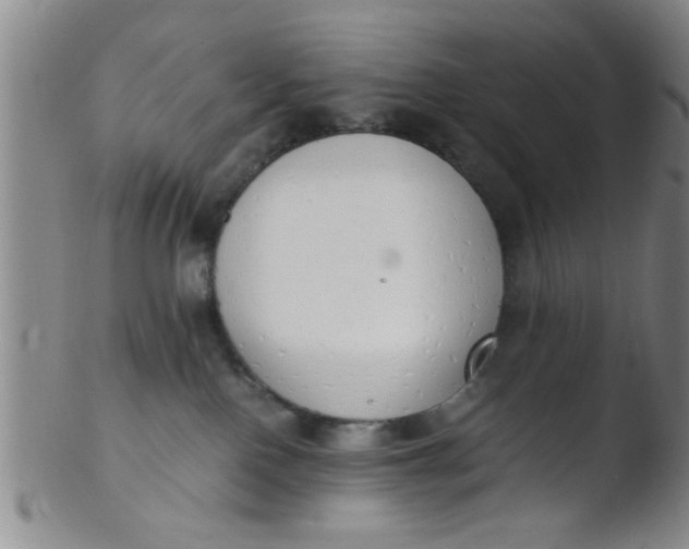 X0000103500090200809262024