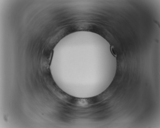 X0000103500091200809262024