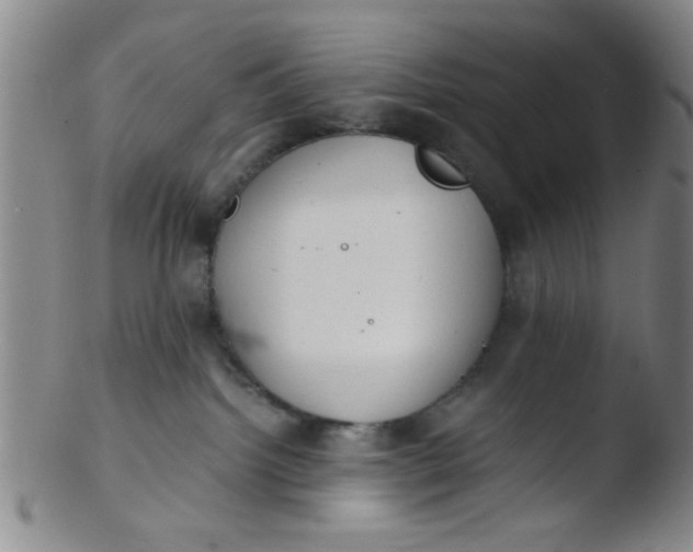 X0000103500092200809262024