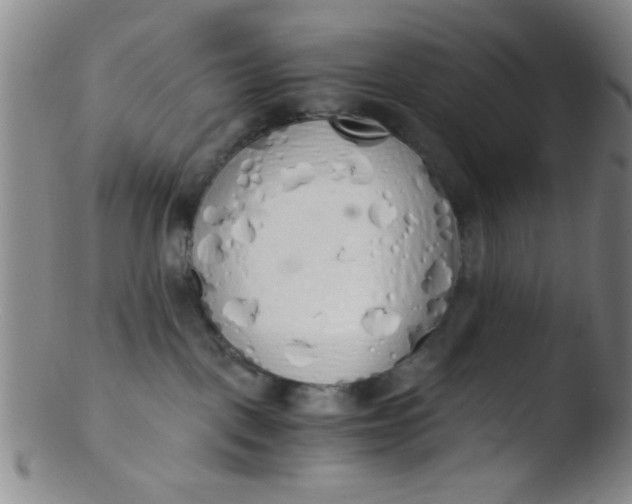 X0000103500093200809262024