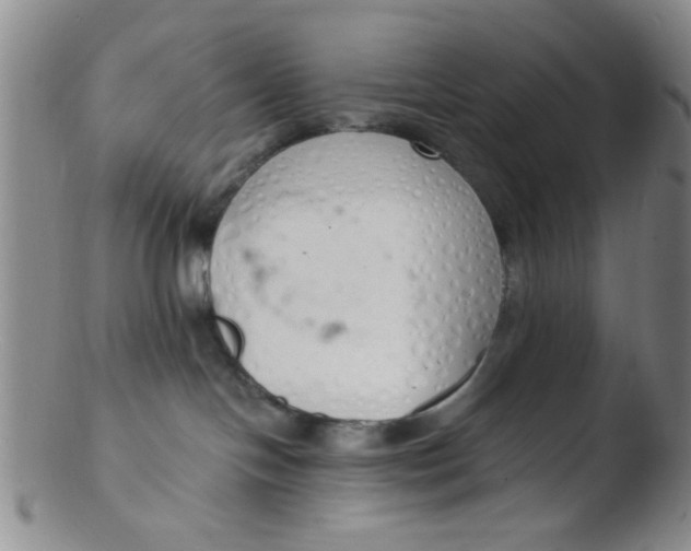 X0000103500094200809262024