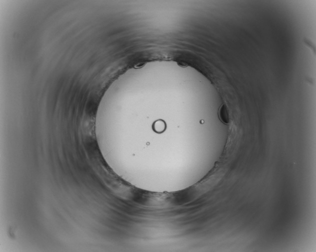 X0000103500096200809262024