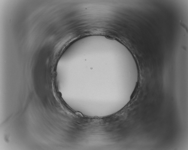 X0000103500097200809262023