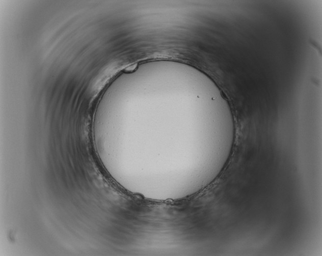 X0000103500098200809262023