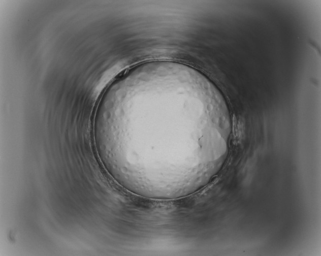 X0000103500099200809262023