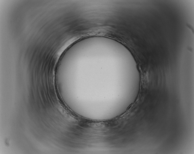 X0000103500100200809262023