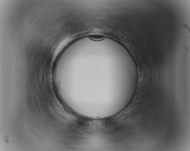 X0000103500102200809262023