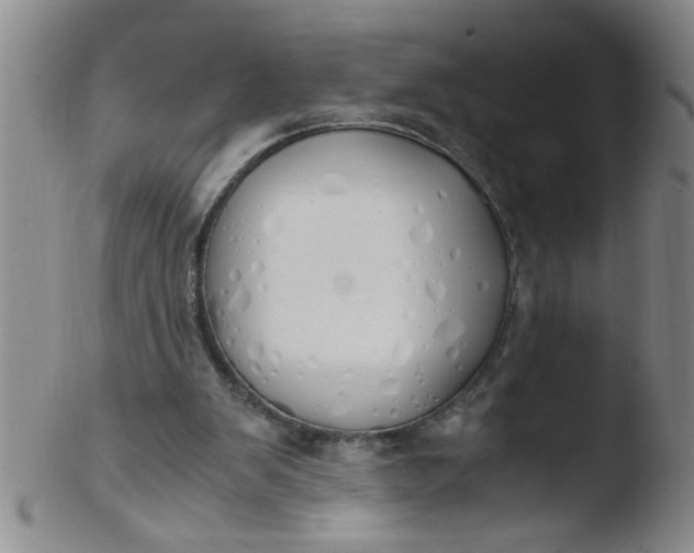 X0000103500103200809262023