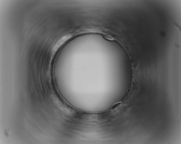 X0000103500104200809262023