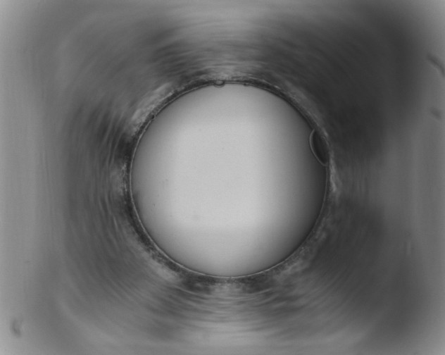 X0000103500105200809262023