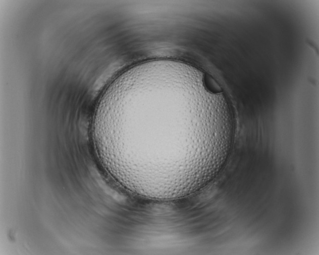 X0000103500106200809262023