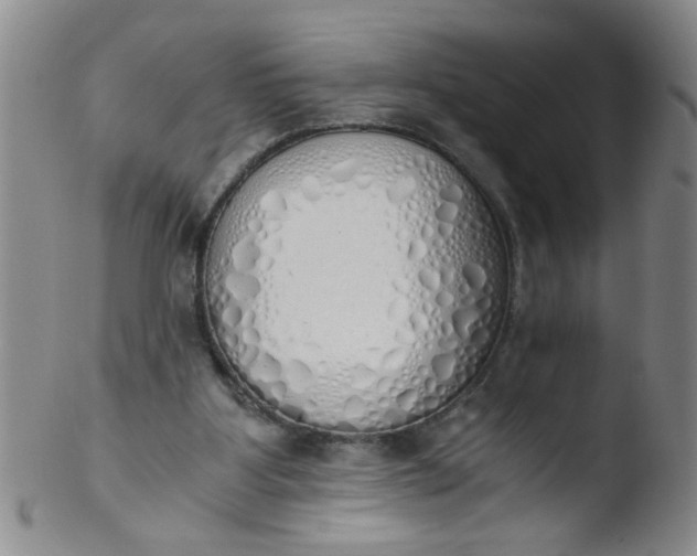 X0000103500107200809262023