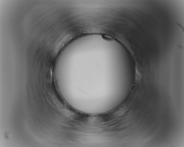 X0000103500109200809262023